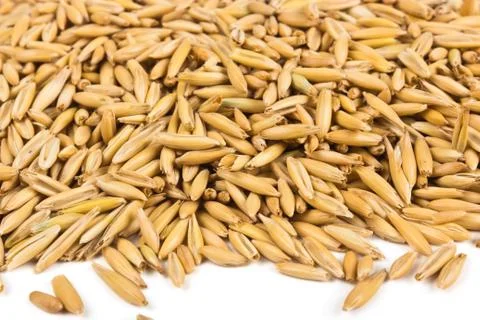 Grains of oats Stock Photos