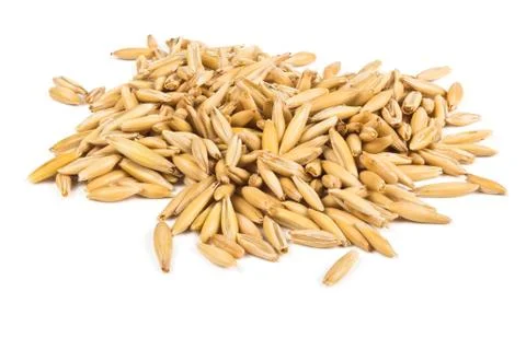 Grains of oats Stock Photos
