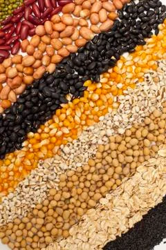 Grains. Stock Photos
