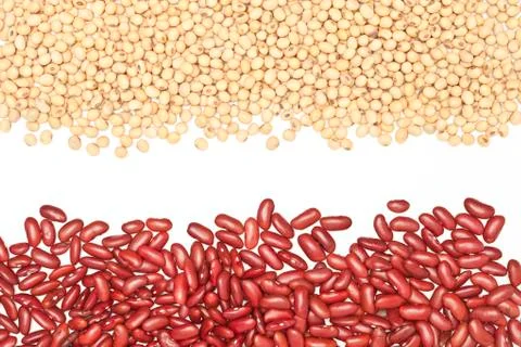 Grains. Stock Photos