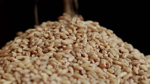 Grains pour on a black background Video stock 236123624