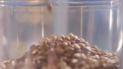 Grains pouring into a coffee machine Stock Footage 117579314