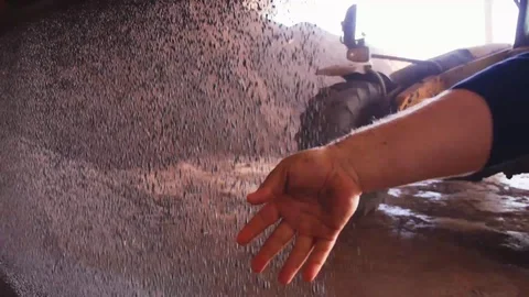 Grains of raw material of fertilizer with human hand Stock Footage 121695976
