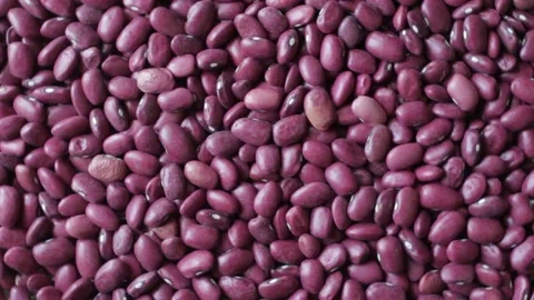 Grains of red beans close up, rotate counterclockwise Stock Footage 136677717