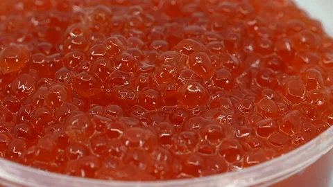 Grains of Red Caviar Stock Footage 169734675