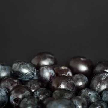 Grains of red grapes Stock Photos