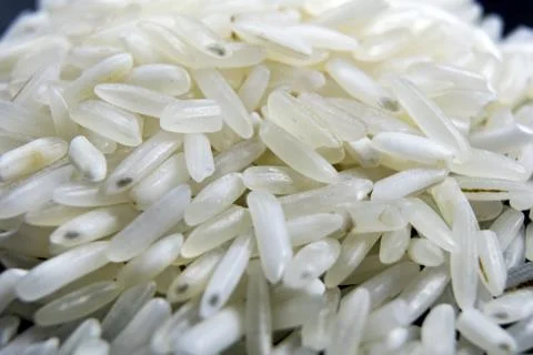 Grains of rice Stock Photos