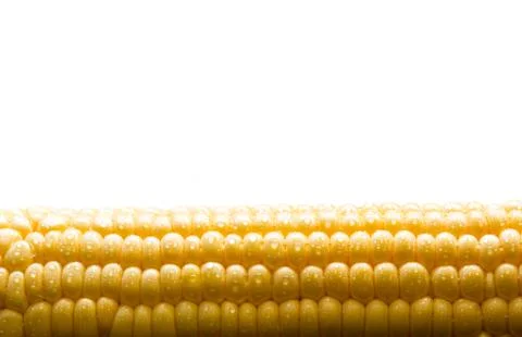 Grains of ripe corn background Stock Photos
