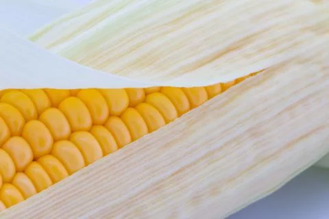 Grains of ripe corn macro image Foto stock