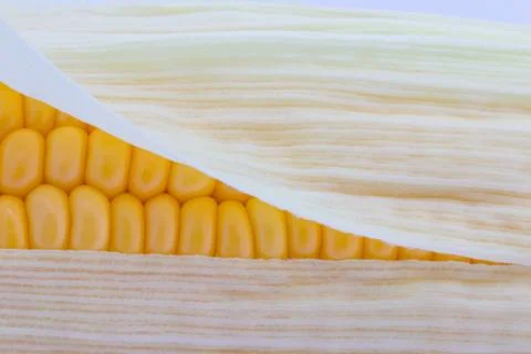 Grains of ripe corn macro image Foto stock
