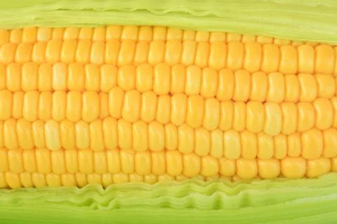 Grains of ripe corn Stock Photos