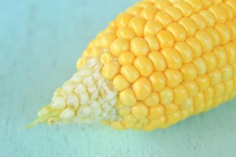 Grains of ripe corn Stock Photos