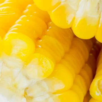 Grains of ripe corn Stock Photos
