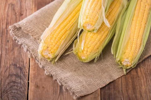 Grains of ripe corn Stock Photos
