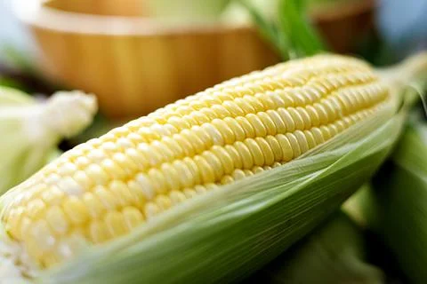 Grains Of Ripe Corn Stock Photos