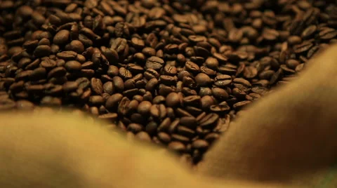 Grains of the Roasted Coffee in the Bag Vídeo Stock 61291131