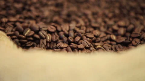 Grains of the Roasted Coffee in the Bag Vídeo Stock 61295468