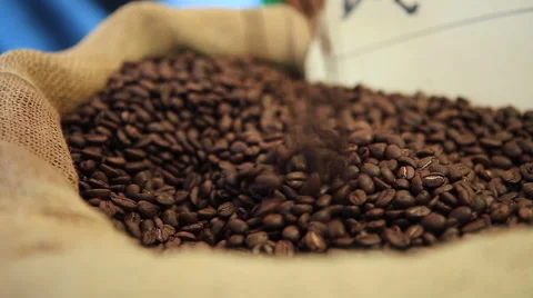 Grains of the Roasted Coffee in the Bag Stock Footage 61296042