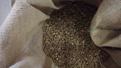 Grains of the Roasted Coffee in the Bag. 動画素材 100242215