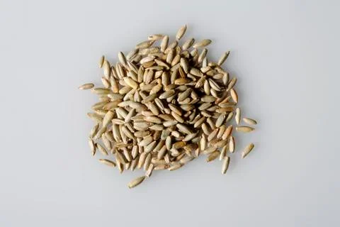 Grains of rye Stock Photos