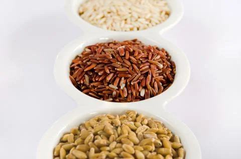 Grains set Фото