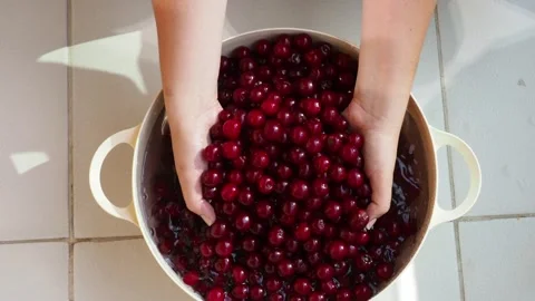 Grains sour cherry Stock Footage 133652008