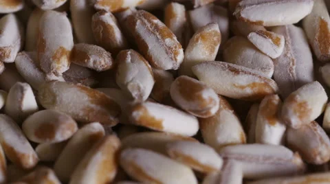 Grains of spelt, CU Stock Footage 55784498