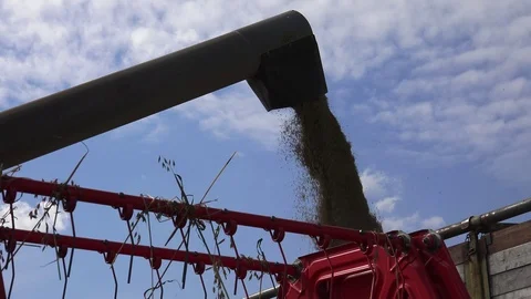 Grains Unloading 3 動画素材 115692655