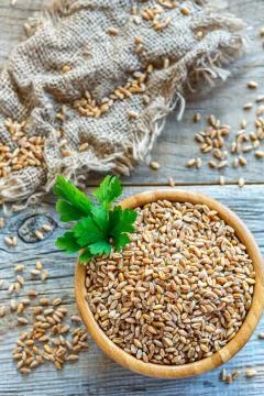 Grains of wheat and a sprig of parsley in wooden bowl. Stock Photos