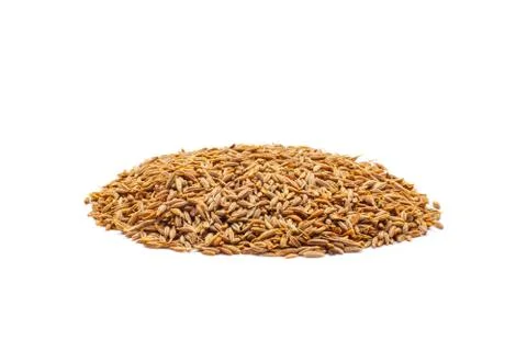 Grains of wheat Stock Photos