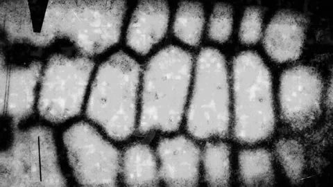 Grainy abstract grid pattern with rough noise, cinematic monochrome backgrond Stock Footage 327326845