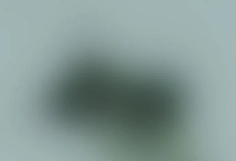 Grainy Blurred Gradient Background, Matte Glass Effect, Green Natural Stock Photos