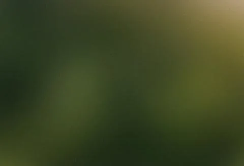 Grainy Blurred Gradient Background, Matte Glass Effect, Green Natural Stock Photos