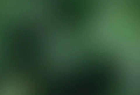 Grainy Blurred Gradient Background, Matte Glass Effect, Green Natural Stock Photos