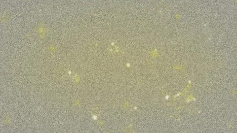 Grainy digital noise pattern filling canvas showing colored speckles with Stock Footage 307651584