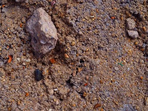 Grainy sand cement stone texture background 库存照片