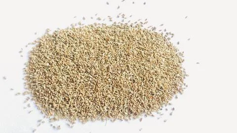 Gram masala Stock Photos