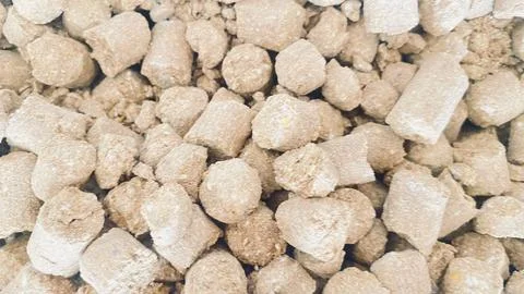 Gram masala in wood type Stock Photos