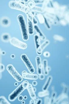 Gram-negative bacterial rods, Enterobacteriaceae family, including E. coli an Stock Illustration