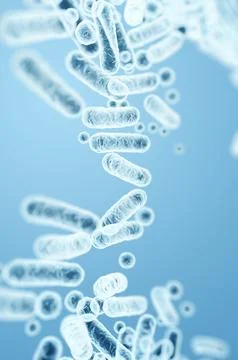 Gram-negative bacterial rods, Enterobacteriaceae family, including E. coli an Stock Illustration