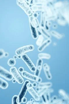 Gram-negative bacterial rods, Enterobacteriaceae family, including E. coli an Stock Illustration