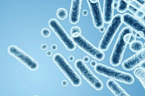 Gram-negative rod-shaped bacteria, Enterobacteriaceae family, intestinal micr Stock Illustration