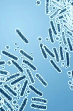 Gram-negative rod-shaped bacteria, Enterobacteriaceae, intestinal microbiome  Stock Illustration