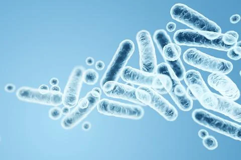 Gram-negative rod-shaped bacteria, Enterobacteriaceae family, intestinal micr Stock Illustration