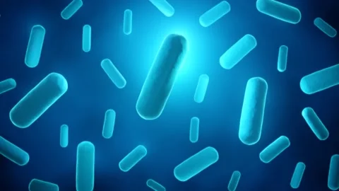 Gram positive bacteria animation Vidéo 150257642