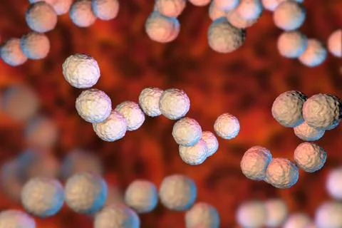 Gram-positive bacteria Streptococcus pyogenes Stock Illustration