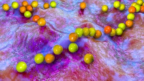 Gram-positive bacteria Streptococcus pyogenes Stock Illustration
