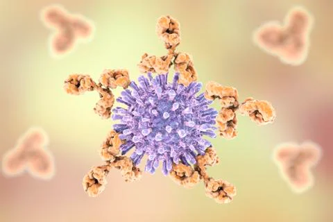 Gram-positive bacterial cell wall, illustration Stock Illustration