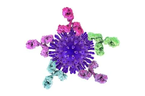 Gram-positive bacterial cell wall, illustration Stock Illustration