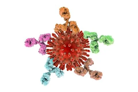 Gram-positive bacterial cell wall, illustration Stock Illustration